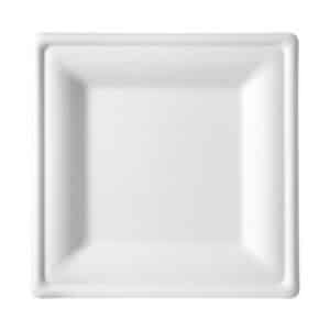 Piatti quadrati bio 20x20 cm 50 PZ